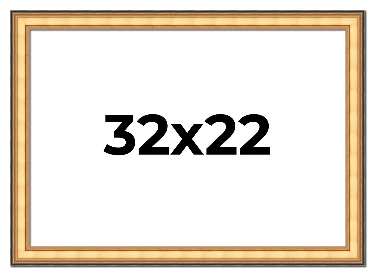 22x32 Traditional Picture Frame with UV-Resistant Acrylic & Acid Free Backing, Available in 3 Finishes - Black, Brown, Gold